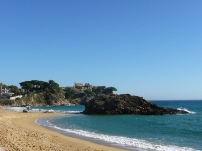 Muchos granitos de arena hacen una playa