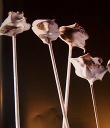 Chupa Chups Julio Verne